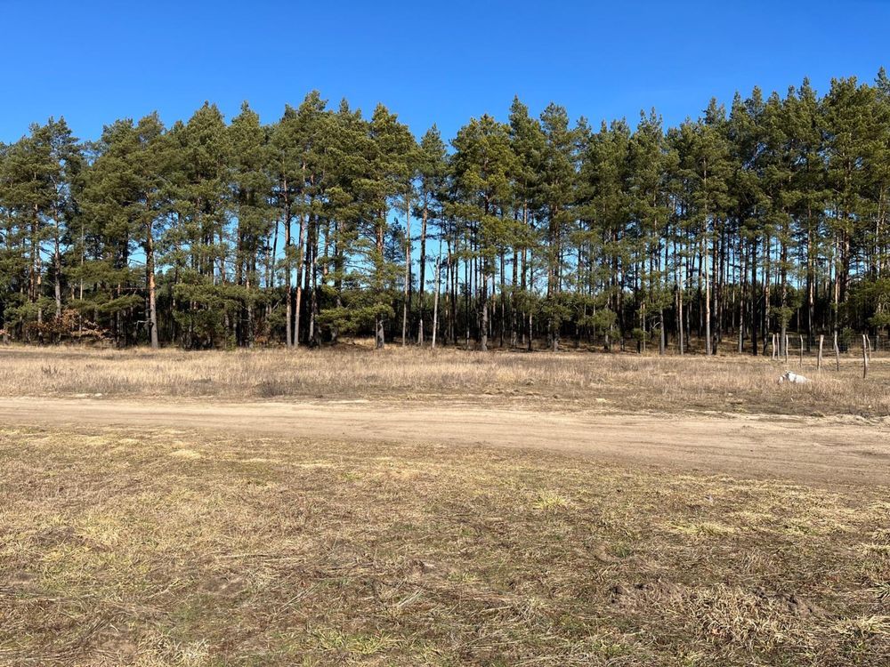 Działka budowlana Kotuń. Zdjęcie 1