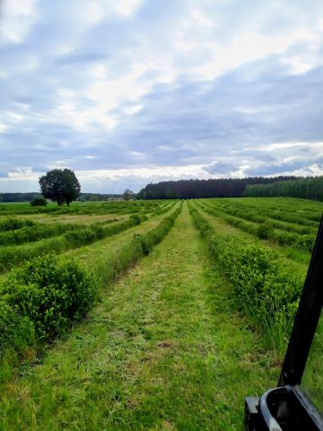 Działka budowlana Kopanki, Kopanki. Zdjęcie 2