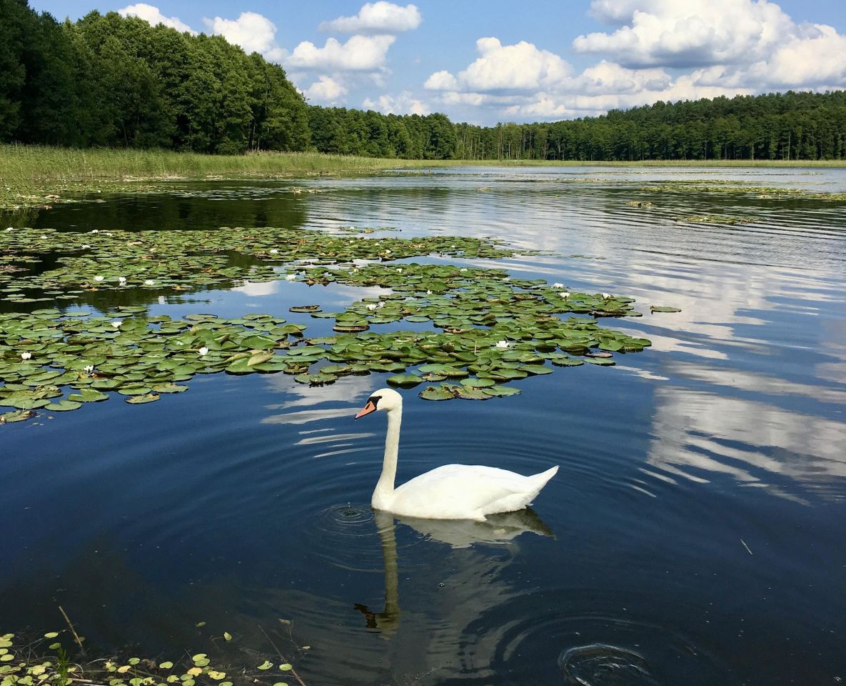 dom wolnostojący, 4 pokoje Gamerki Wielkie. Zdjęcie 9