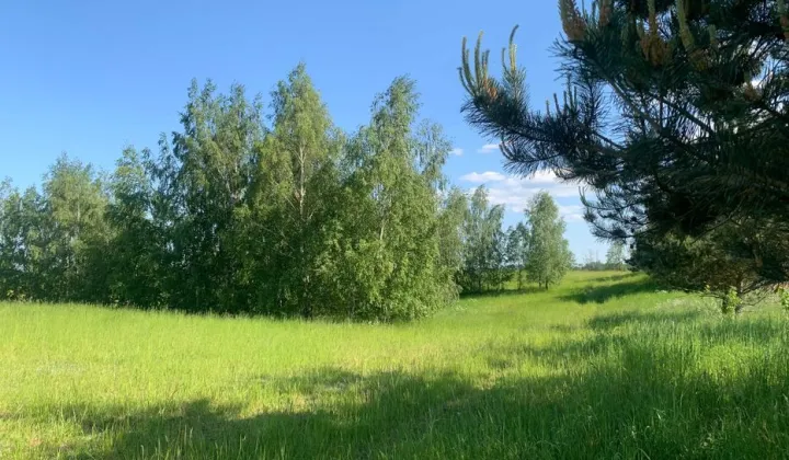 Działka rolno-budowlana Rydzewo, ul. Brzozowa