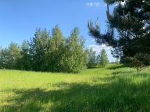 Działka rolno-budowlana Rydzewo, ul. Brzozowa