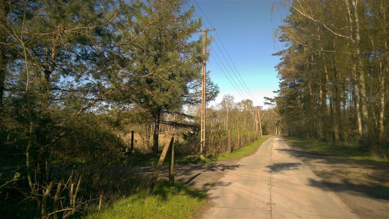 Działka inwestycyjna Budzistowo. Zdjęcie 3