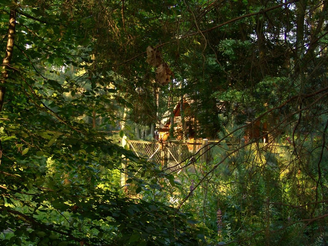 dom wolnostojący, 3 pokoje Magdalenka, ul. Piaskowa. Zdjęcie 41