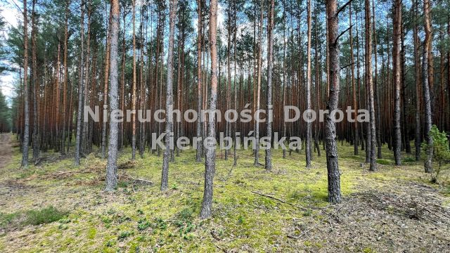 Działka rekreacyjna Inowłódz. Zdjęcie 6