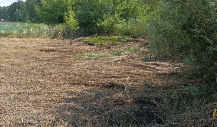 Działka budowlana Lesznowola