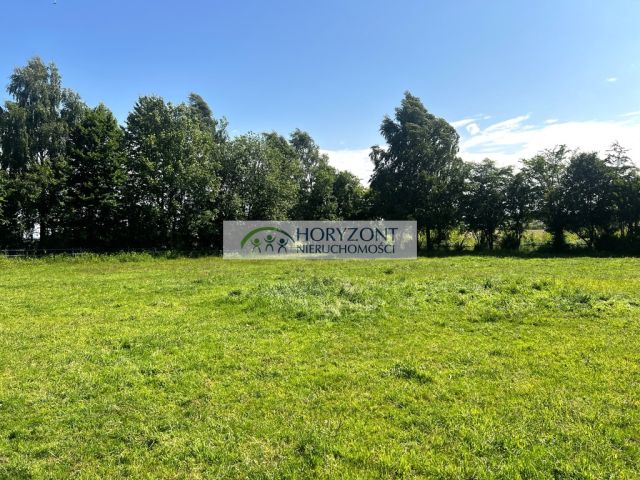 Działka Rybaki. Zdjęcie 5