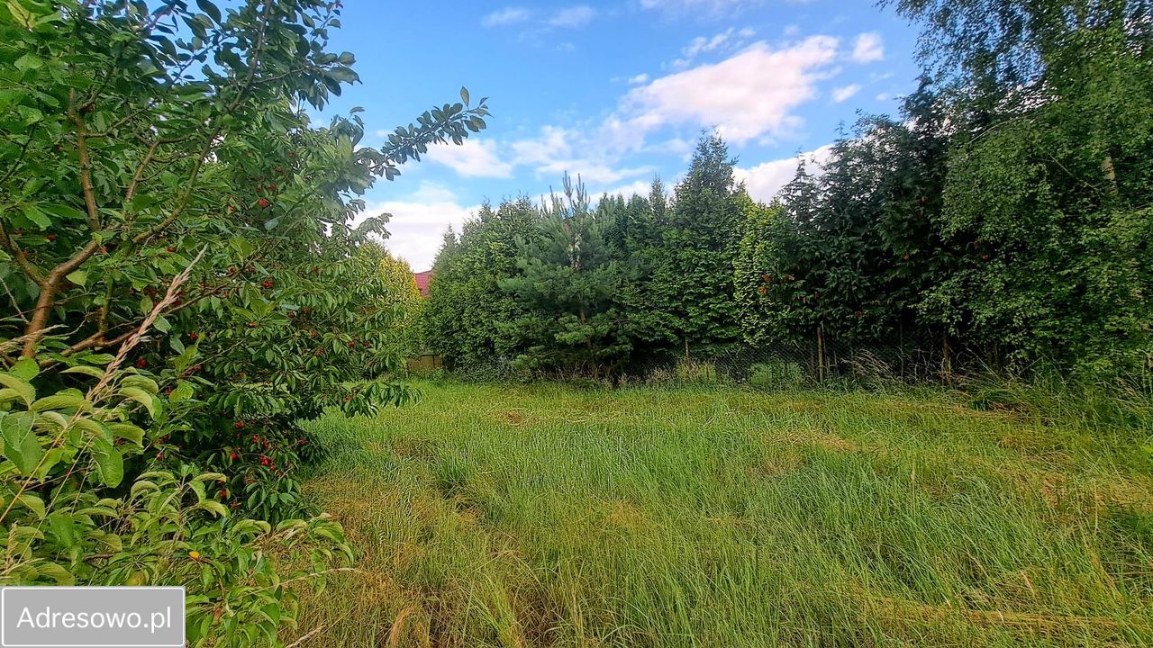 Działka budowlana Nochowo, ul. Leśna. Zdjęcie 5