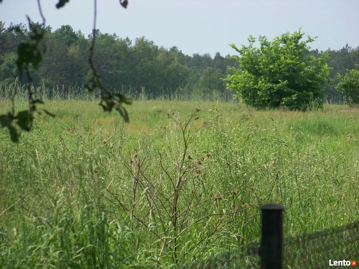 Działka rolna Waśkowólka