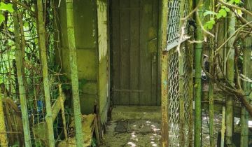 Działka rod Jawor, ul. Piastowska