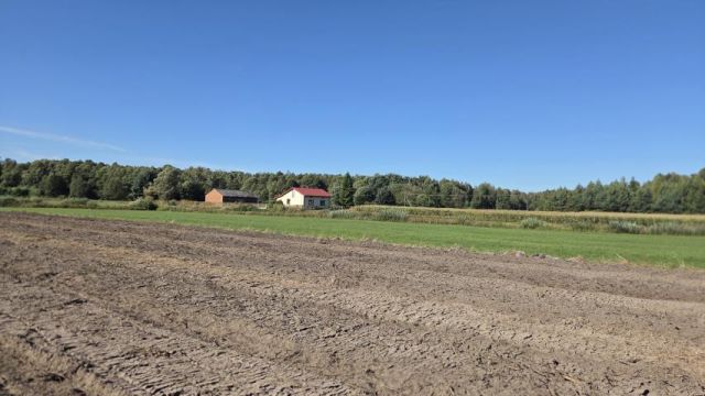 Działka rekreacyjna Doleck. Zdjęcie 5