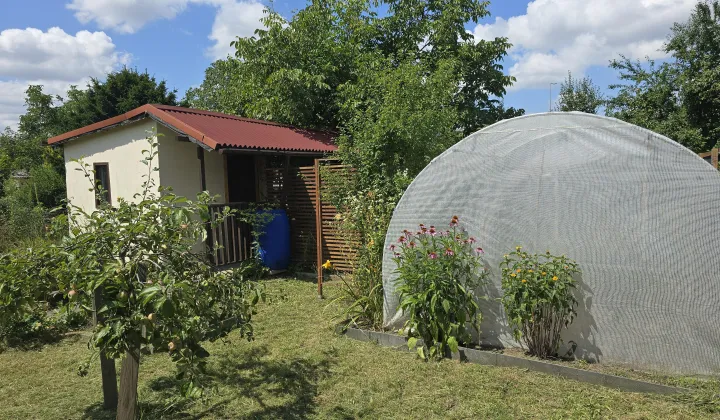 Działka rod Wrocław Krzyki, ul. Wilcza