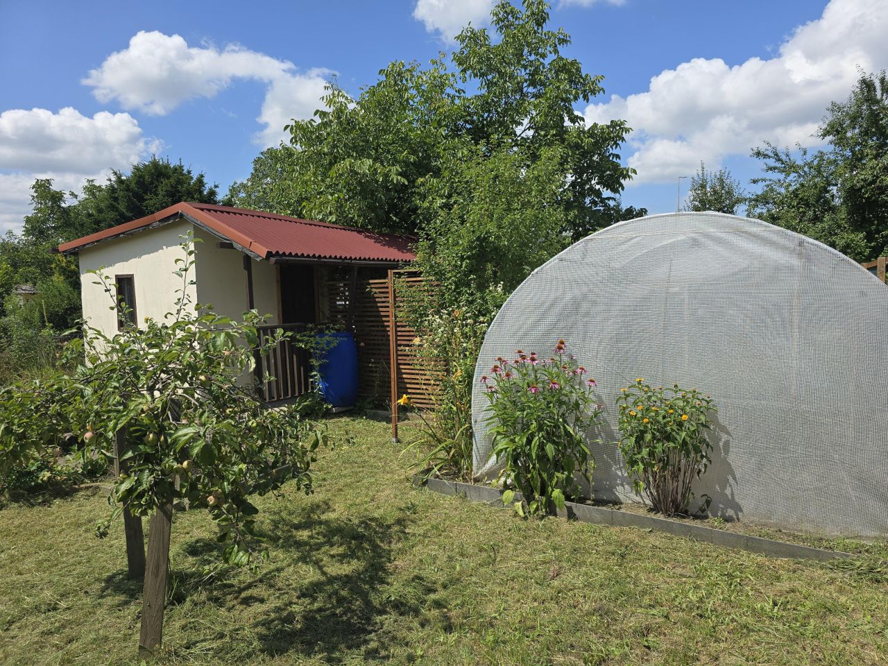 Działka rod Wrocław Krzyki, ul. Wilcza