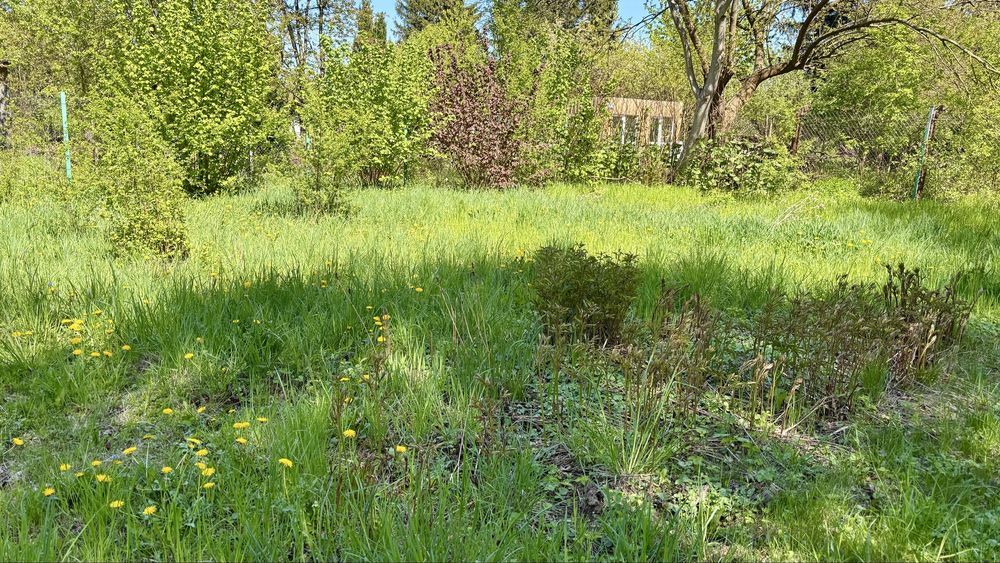 Działka rod Warszawa Mokotów, ul. Romana Statkowskiego. Zdjęcie 7