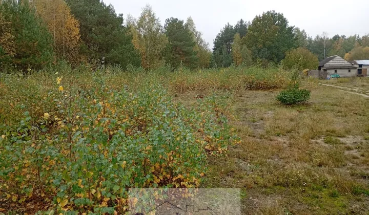Działka budowlana Olesin