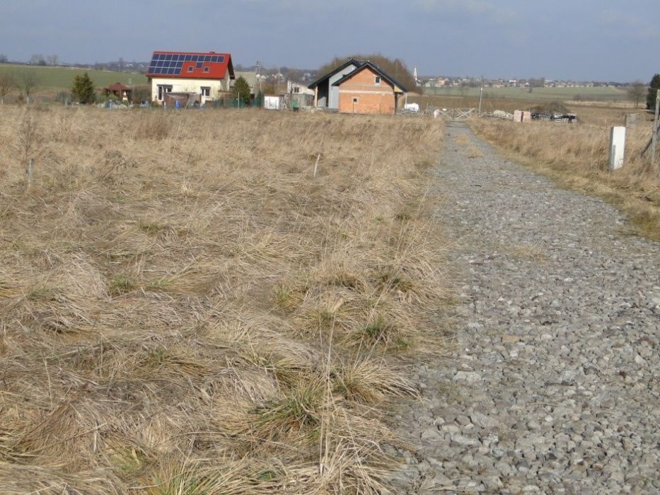 Działka budowlana Wojsławice. Zdjęcie 4