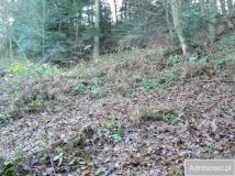 Działka rolna Tabaszowa. Zdjęcie 2