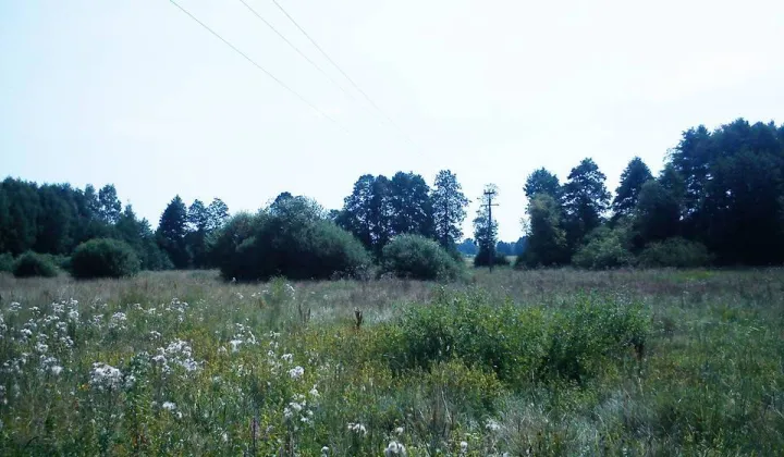 Działka budowlana Zboiska, ul. Dzika