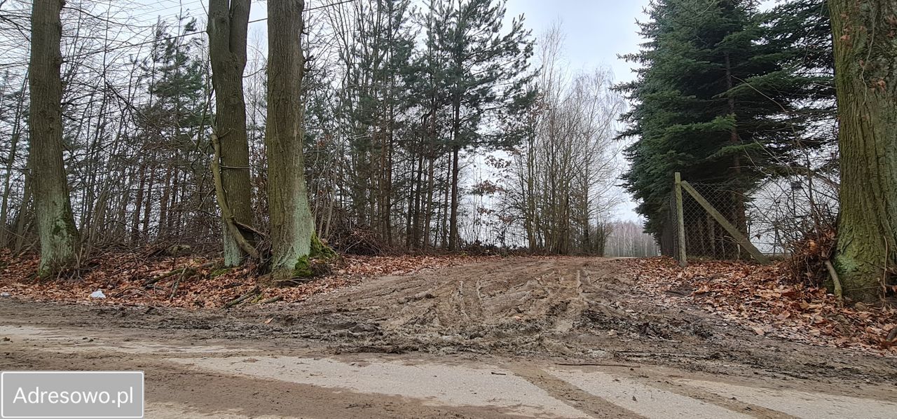 Działka budowlana Korabiewice. Zdjęcie 2