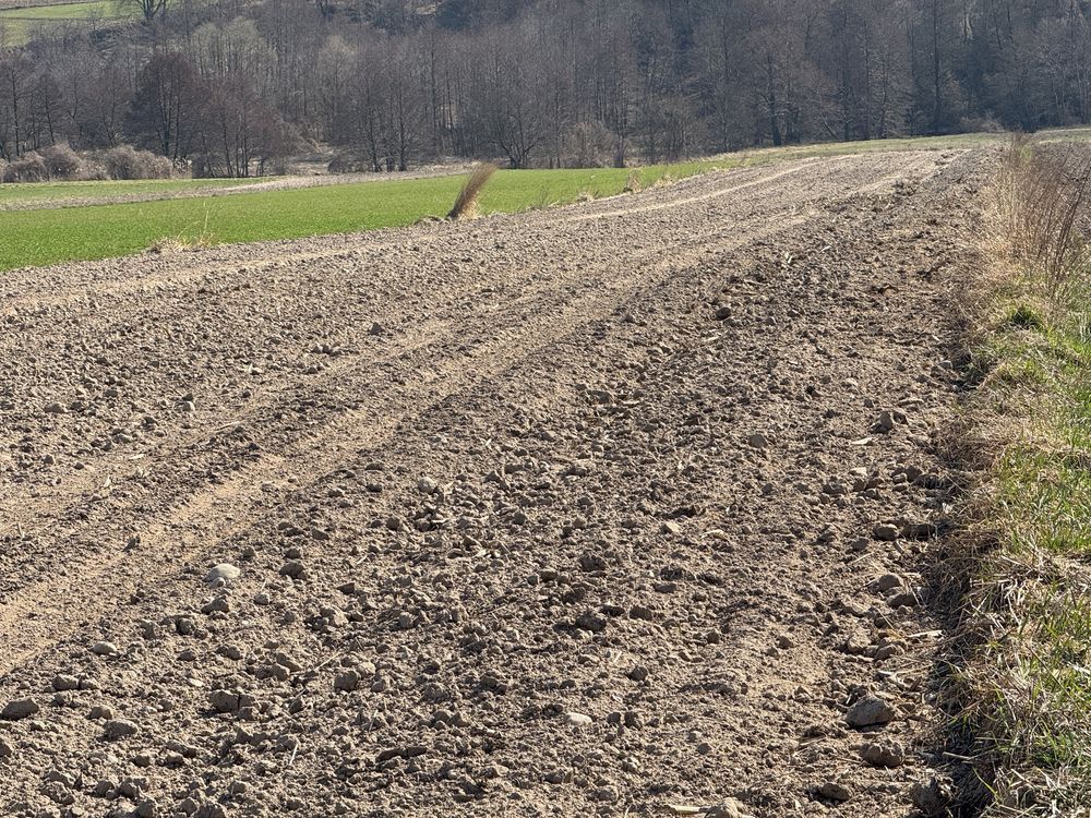 Działka rolna Szosa Turecka. Zdjęcie 5