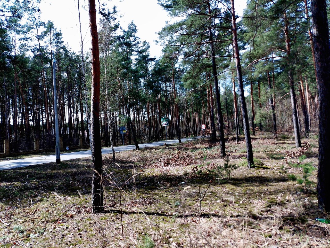 Działka budowlana Marynino. Zdjęcie 13