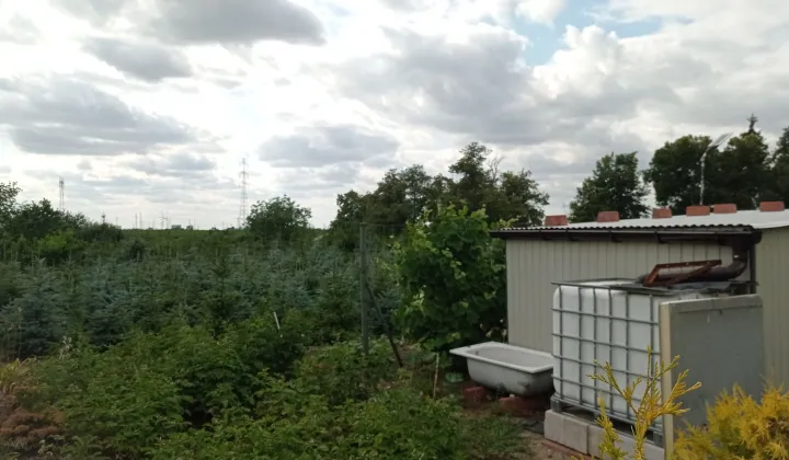 Działka rolna Kościelec