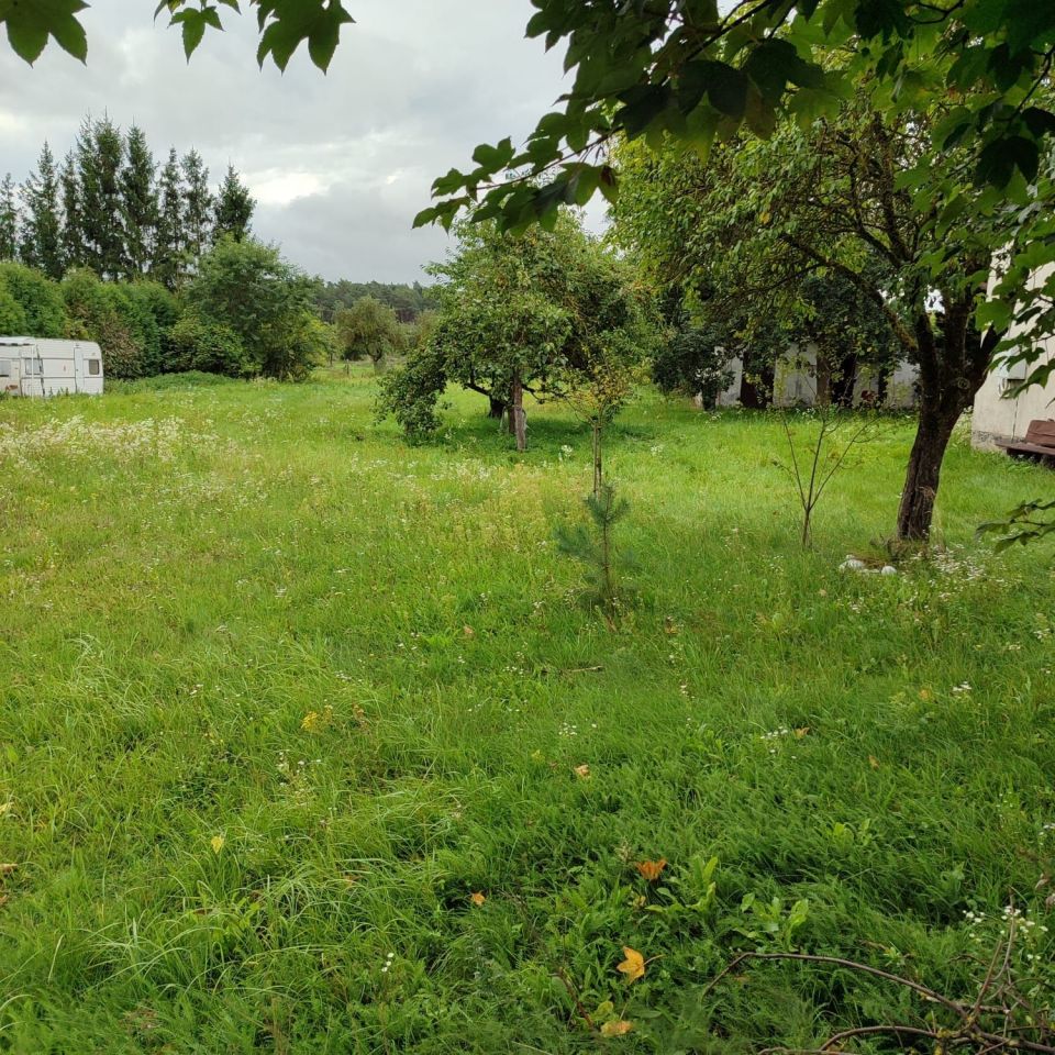 bliźniak Jagodne Małe. Zdjęcie 2