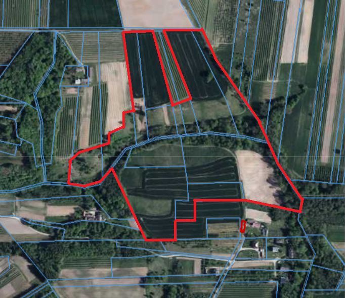 Działka rolna Rzeczyca. Zdjęcie 7