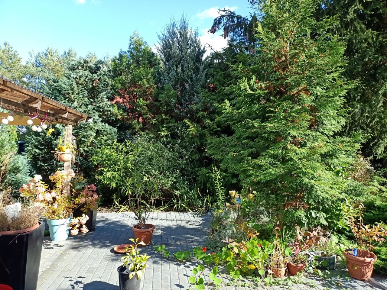 dom wolnostojący, 5 pokoi Gorzów Wielkopolski Wieprzyce, ul. Kostrzyńska. Zdjęcie 16