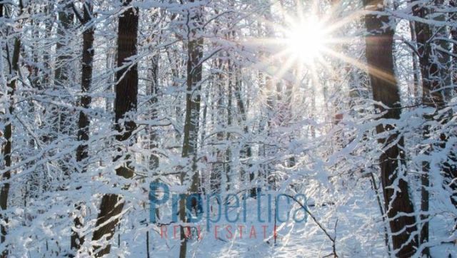 dom wolnostojący, 3 pokoje Natać Wielka. Zdjęcie 5