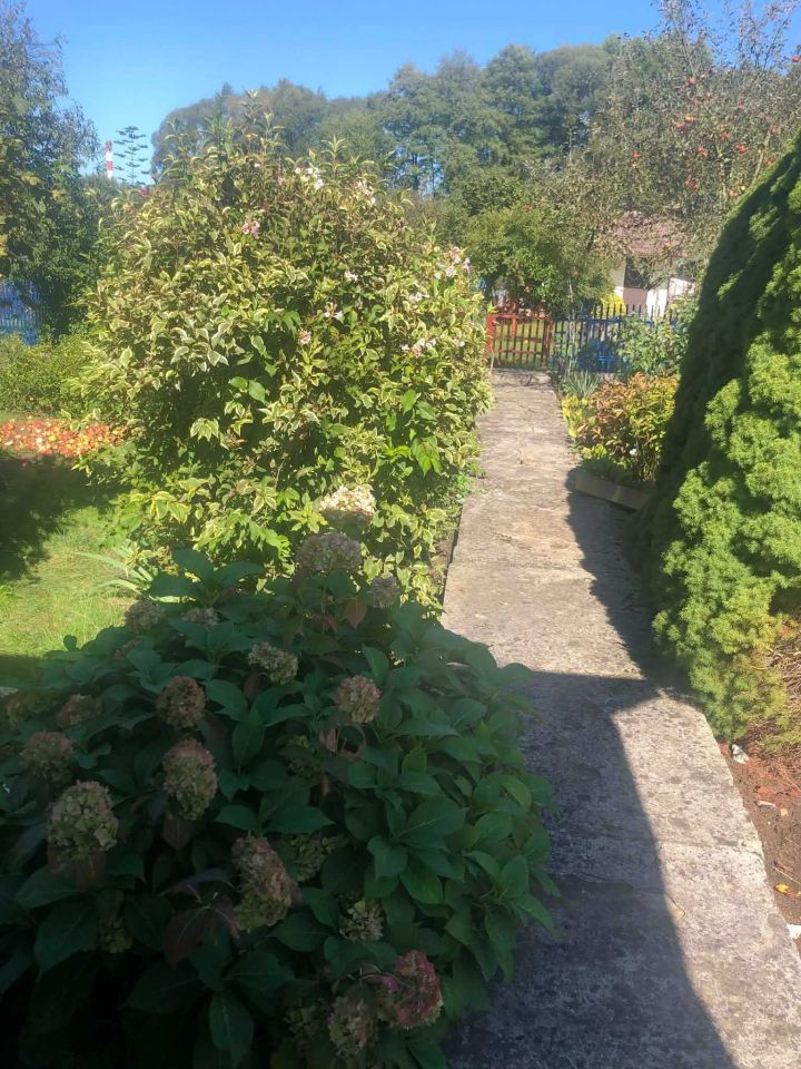 Działka rod Chełmek. Zdjęcie 3