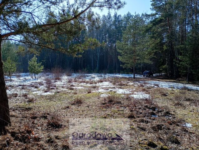 Działka budowlana Kąty. Zdjęcie 6