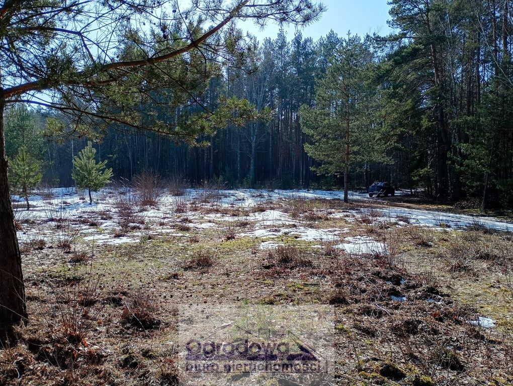 Działka budowlana Kąty. Zdjęcie 6