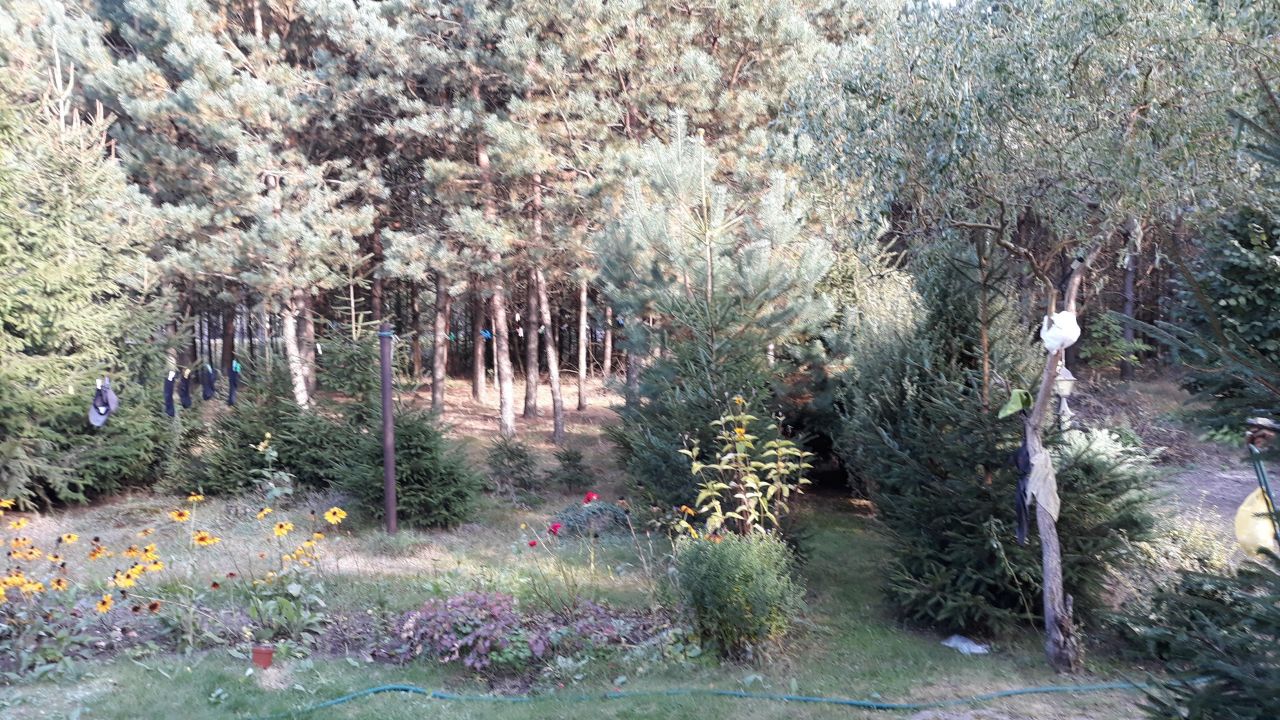 dom wolnostojący, 2 pokoje Strachówka. Zdjęcie 3