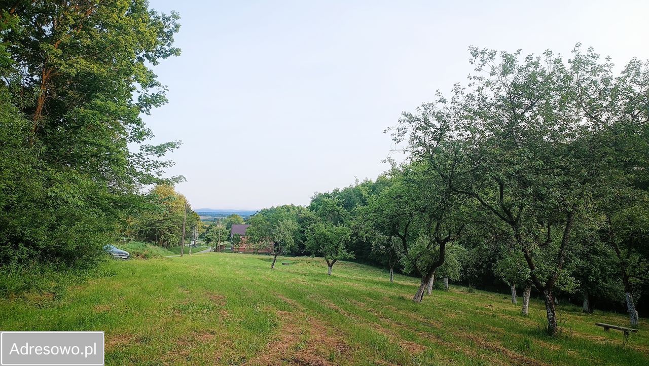 Działka rolno-budowlana Bierówka. Zdjęcie 7