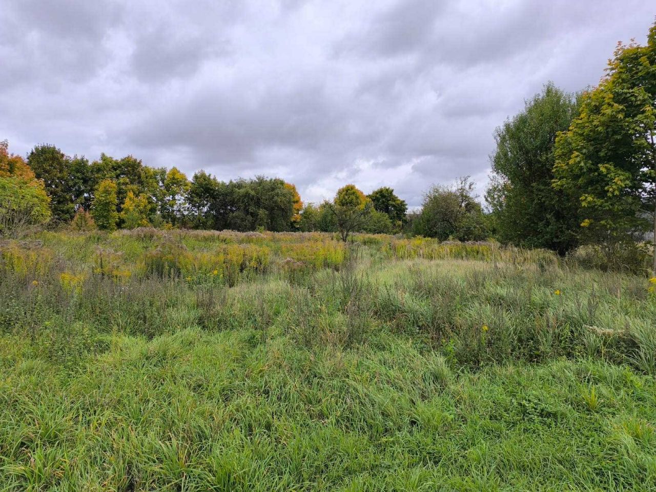 Działka budowlana Żagań, ul. Piłsudskiego. Zdjęcie 5