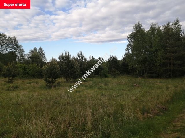 Działka budowlana Budy Zaklasztorne, mkwadrat.eu - najwięcej aktualnych sprawdzonych ofert!. Zdjęcie 1