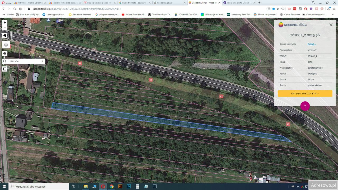 Działka rolna Płaczków. Zdjęcie 2