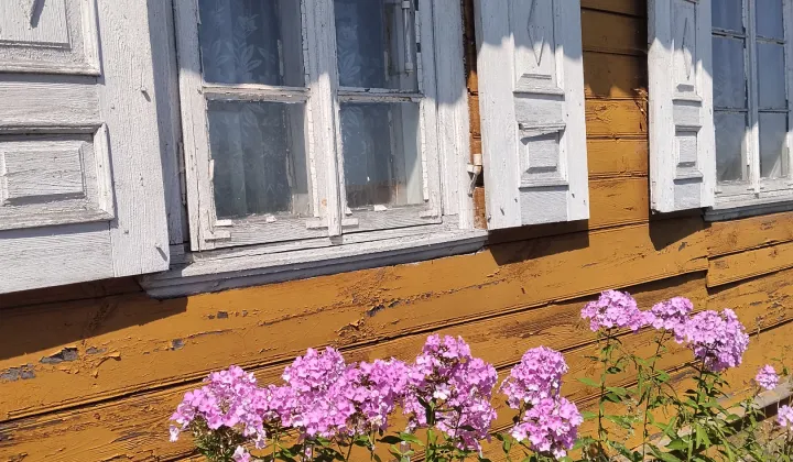 Działka siedliskowa Bereza