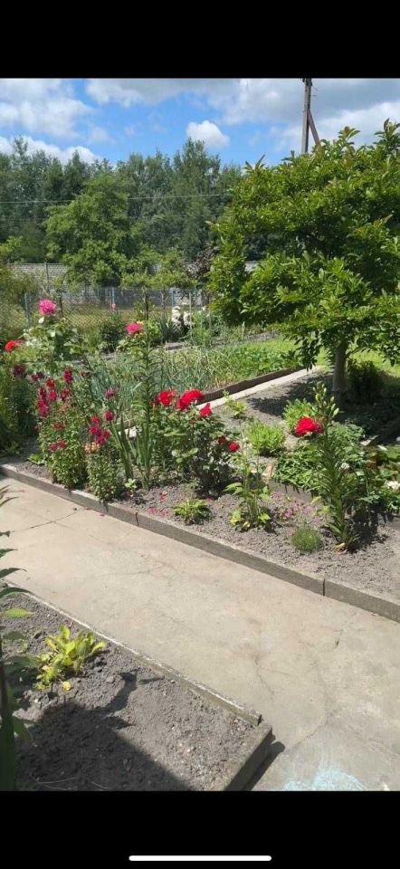 Działka rod Zabrze Centrum, ul. Gdańska. Zdjęcie 7