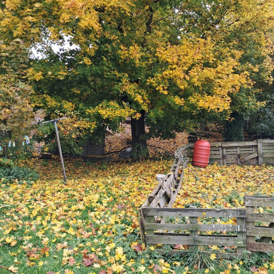 dom wolnostojący, 6 pokoi Gutowo. Zdjęcie 13