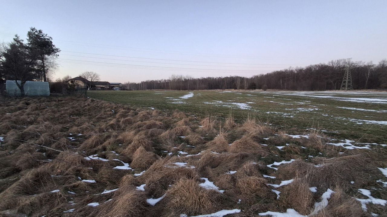 Działka budowlana Rybnik Zebrzydowice, ul. Krzywa. Zdjęcie 8
