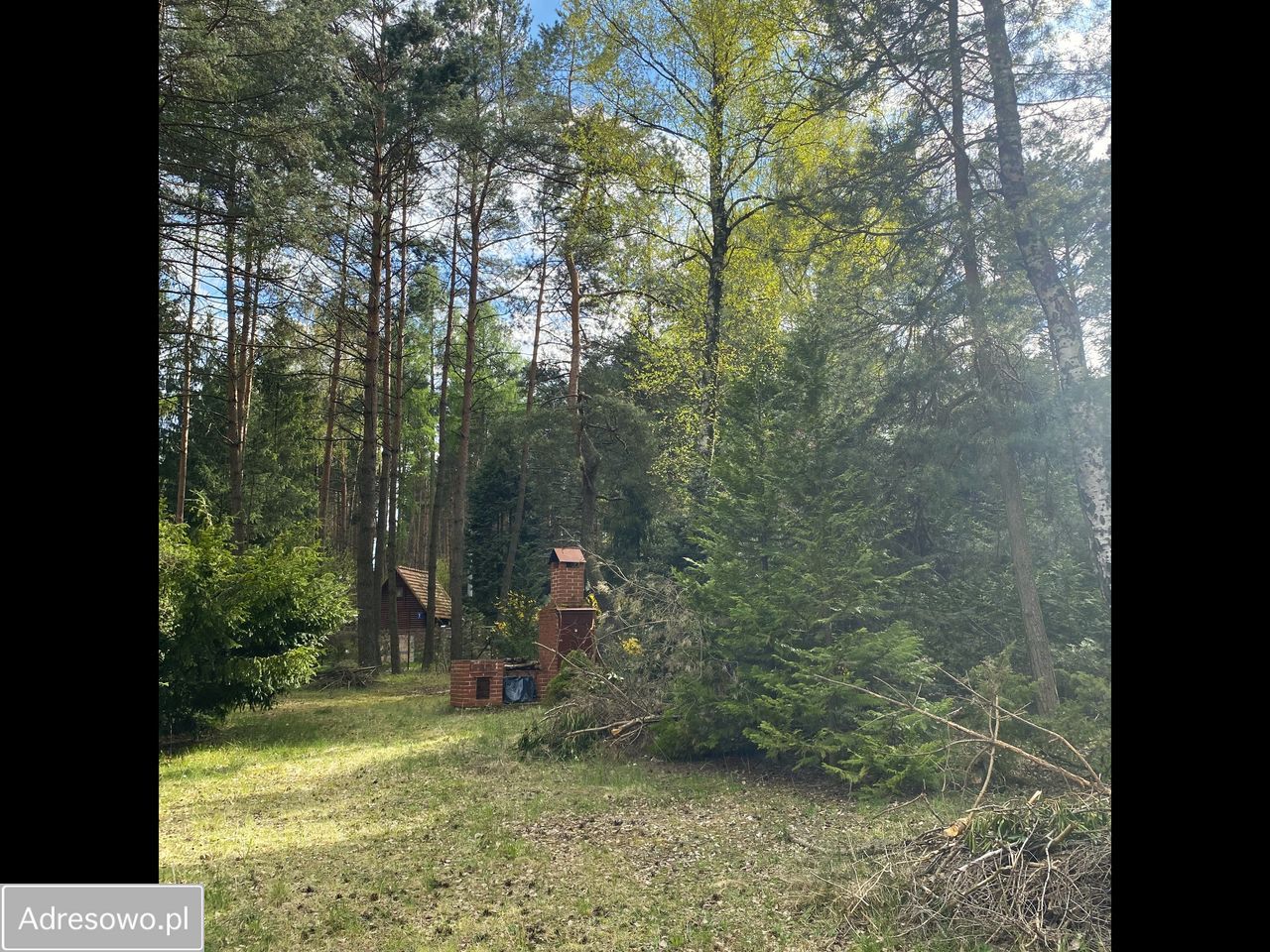 Działka budowlana Rokitnica. Zdjęcie 4