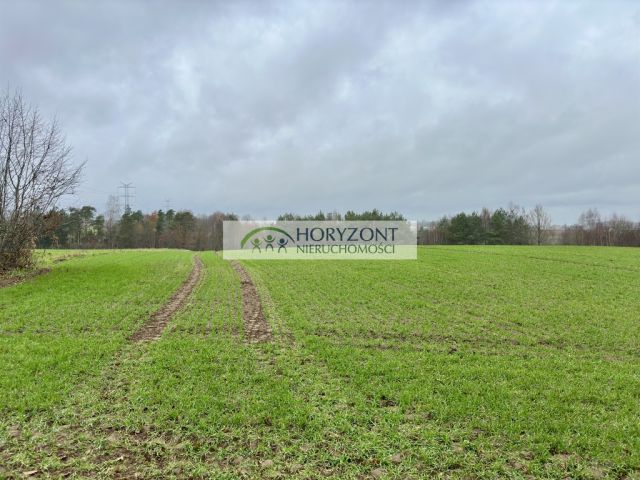Działka budowlana Miszewo. Zdjęcie 7