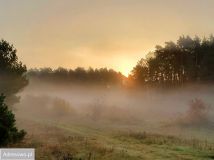 Działka rekreacyjna Zakrzówek Szlachecki. Zdjęcie 2