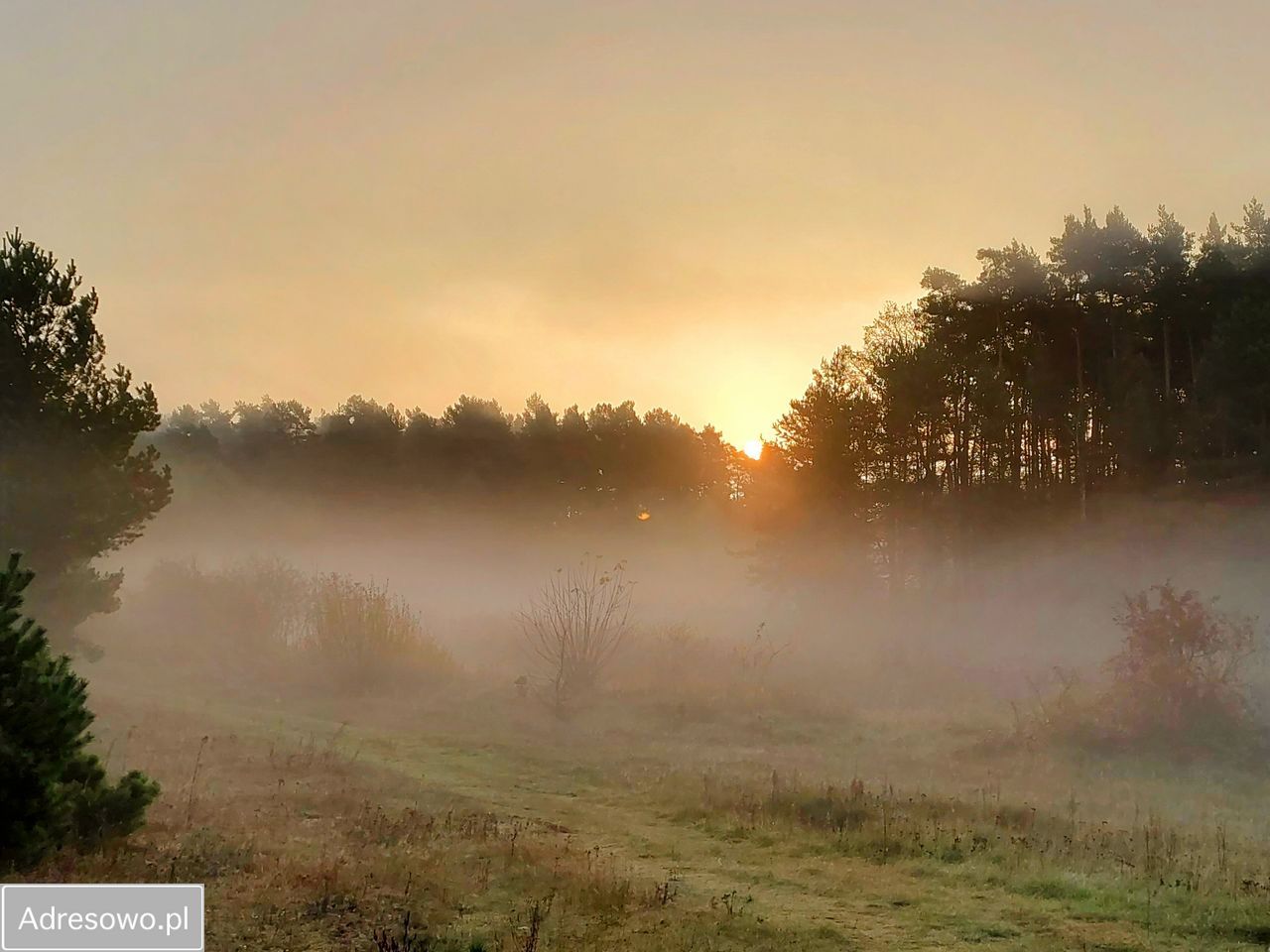 Działka rekreacyjna Zakrzówek Szlachecki. Zdjęcie 3