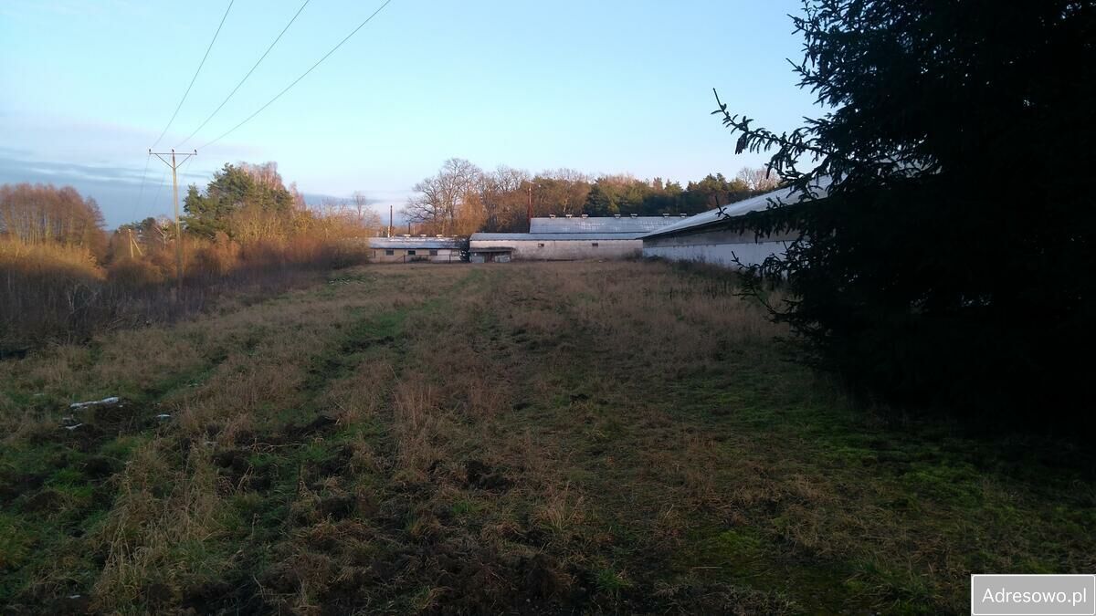 Działka inwestycyjna Skwierzyna. Zdjęcie 11