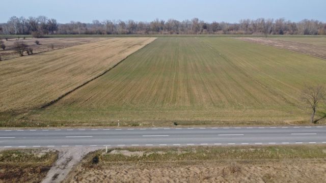 Działka rolna Śladów. Zdjęcie 2