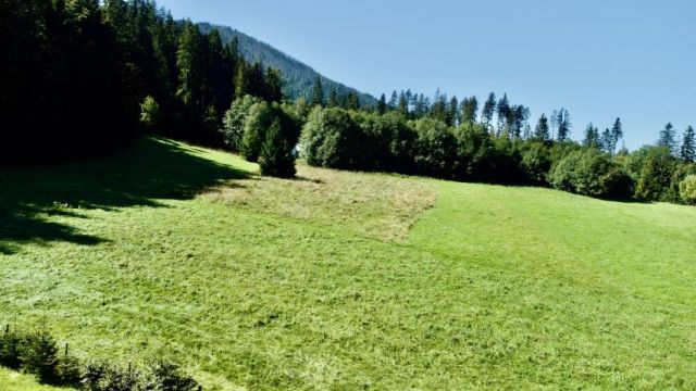 Działka rolna Zakopane. Zdjęcie 7