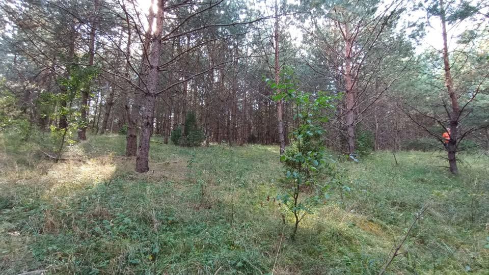 Działka rolna Narty, ul. Długa. Zdjęcie 9