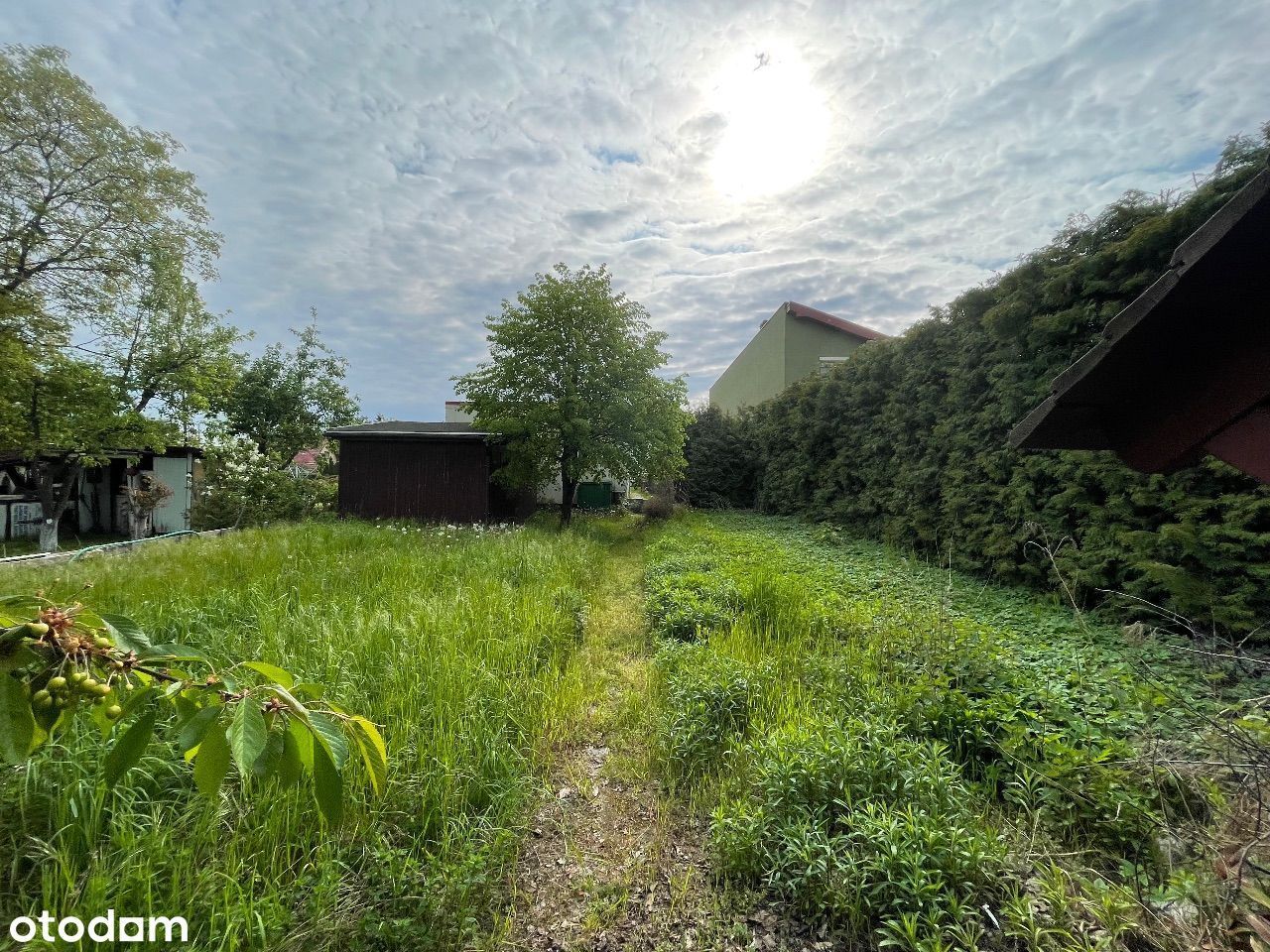 Lokal Jarocin. Zdjęcie 15